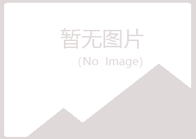 阳明区初夏化学有限公司